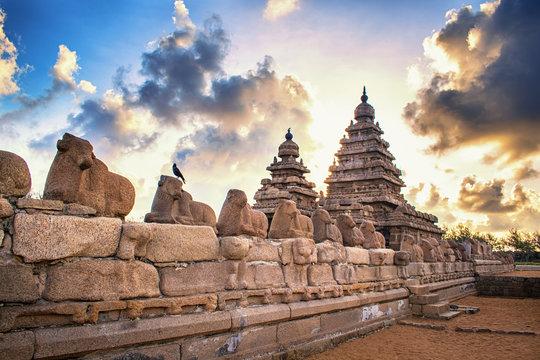 Mahabalipuram Tour